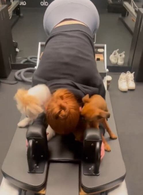Petsch Perfect: Madelaine’s Woof-tastic Pilates Workout