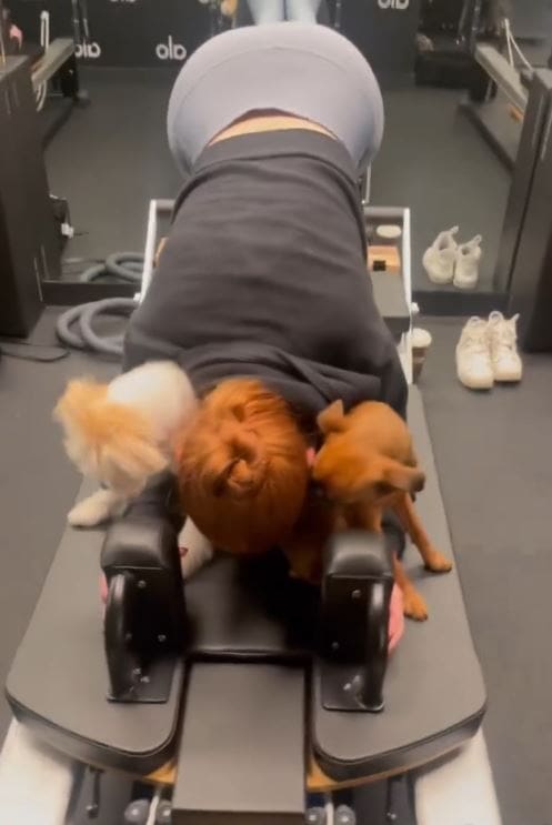 Petsch Perfect: Madelaine's Woof-tastic Pilates Workout