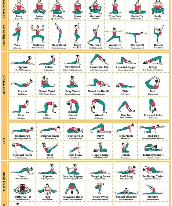 Yoga Asanas Poster: 64 Colorful Poses with English Sanskrit Names