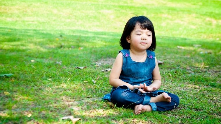 Accomplished Pose - Siddhasana सिद्धासन Yoga Asana Collection