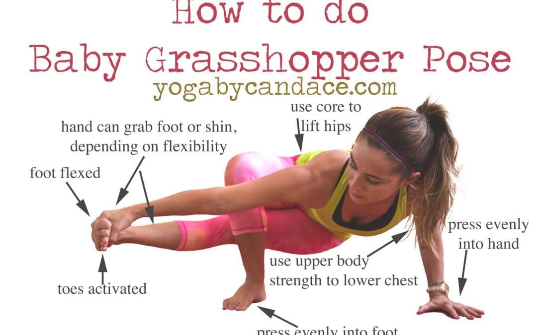 Baby Grasshopper the Bala Parsva Bhuja Dandasana