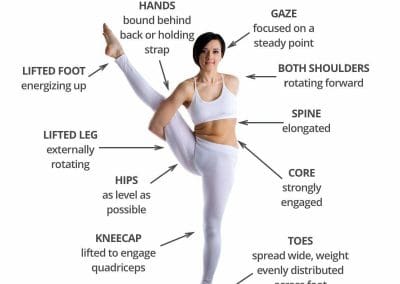 Bird of Paradise Full Pose - Svarga Dvijasana स्वर्ग द्विजस्ना Yoga Asana Collection