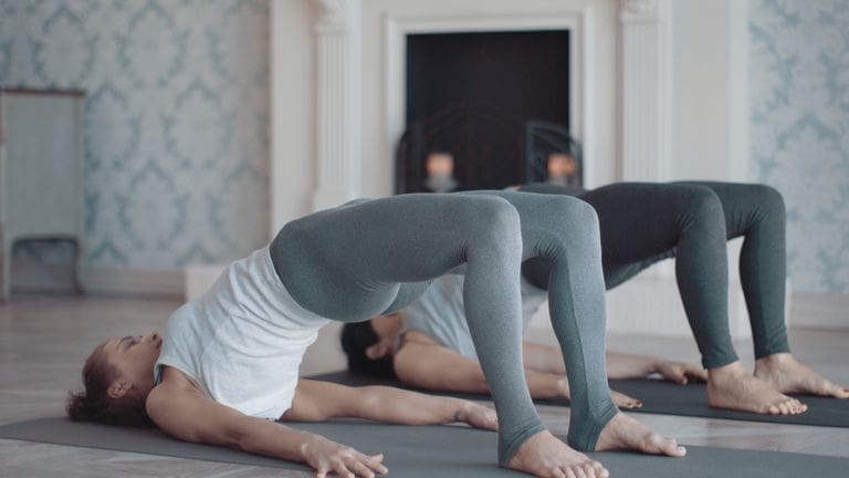 Bridge Pose - Setu Bandha सेतुबन्धसर्वाङ्गासन Yoga Asana Collection