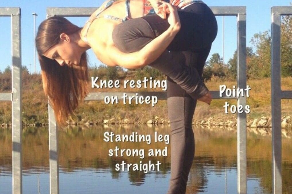 Flamingo the Marichyasana