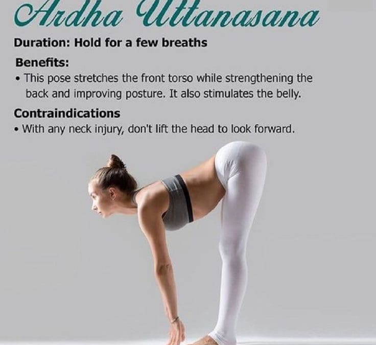 Half Standing Forward Bend the Ardha Uttanasana