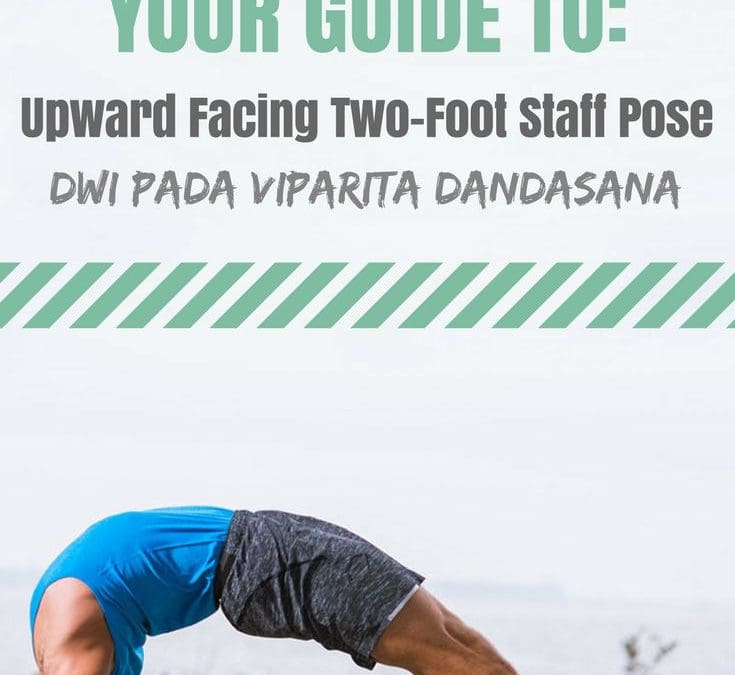Inverted Staff the Dwi Pada Viparita Dandasana