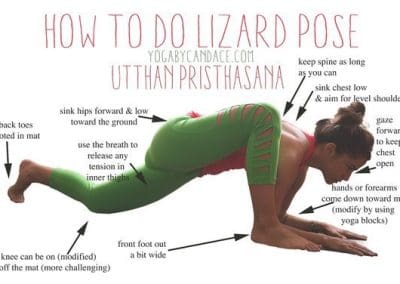 Lizard Pose - Utthan Pristhasana उदय प्रतियोगिता Yoga Asana Collection