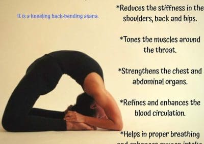 King Pigeon Pose - Rajakapotasana राजकपोतासन Yoga Asana Collection