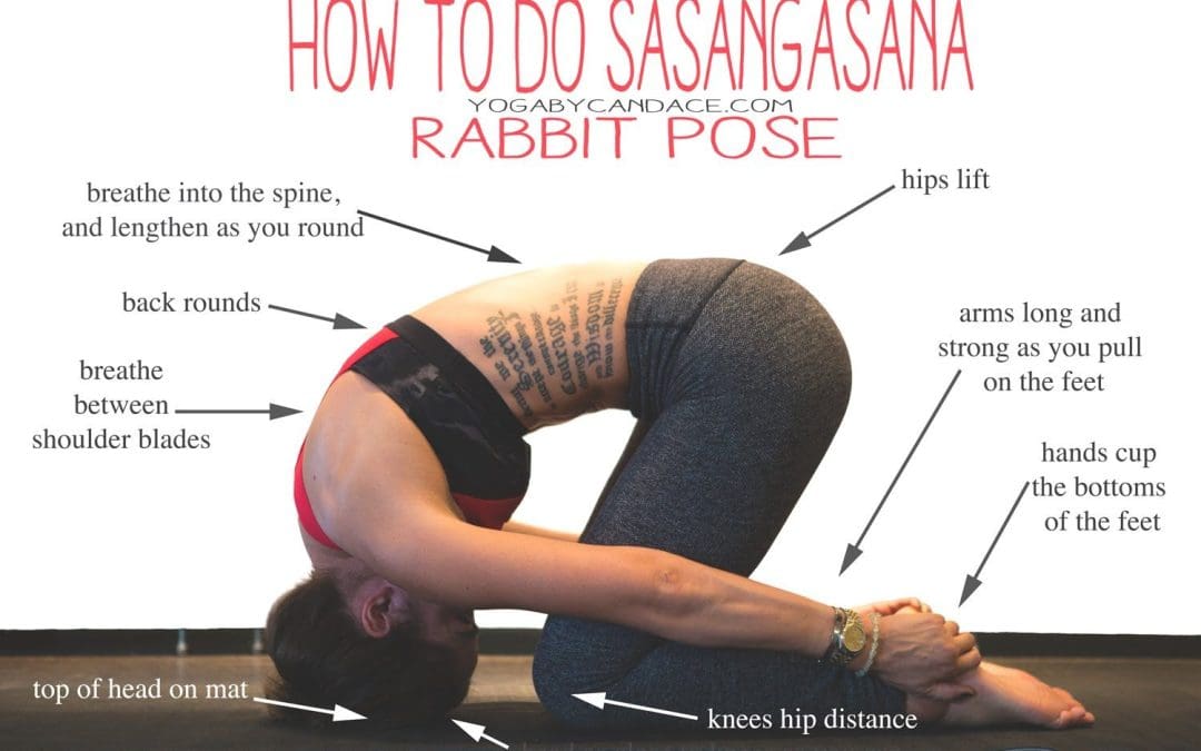 Rabbit the Sasangasana