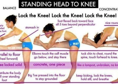 Standing Head to Knee Pose - Dandayamana Janushirasana दण्डयमन जानु शीर्षासन Yoga Asana Collection