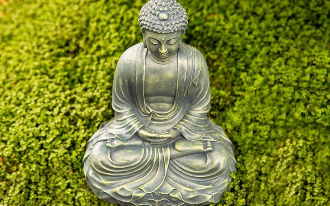 Lotus the Padmasana