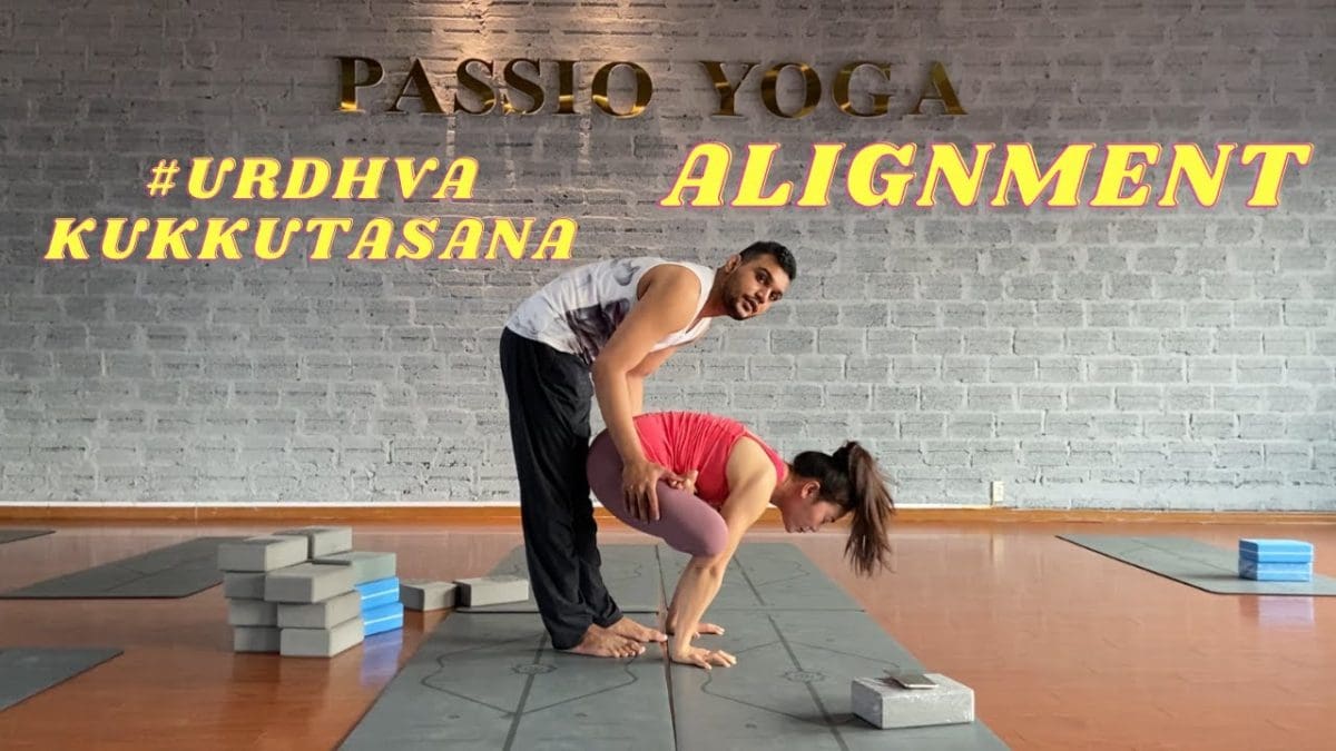 Upward Rooster Pose - Urdhva Kukkutasana उर्ध्व कुक्कुटासना Yoga Asana Collection